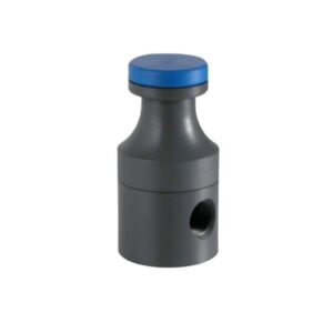 Back Pressure Valve